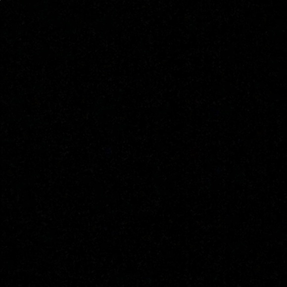 Meet your Posher, Riley - Picture 1 of 1